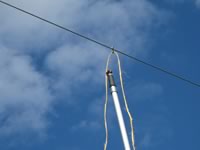 Click! The S-hook successfully released from the magnet