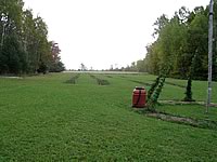 Four long tilled rows